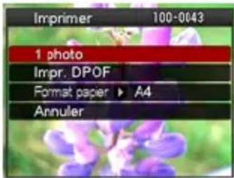 CASIO Exilim Zoom EXZS6 - Pour imprimer - 1
