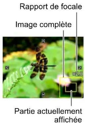 CASIO Exilim Zoom EXZS6 - Agrandissement d'une image affichée à l'écran - 1