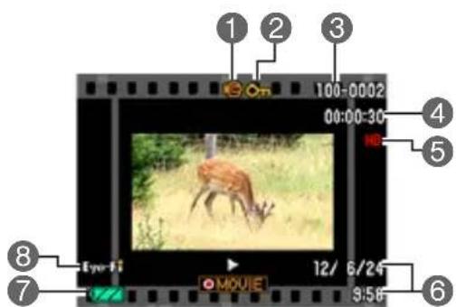 CASIO Exilim Zoom EXZS6 - Lecture de séquences video - 1