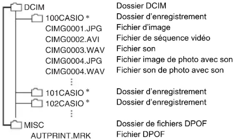 CASIO Exilim Zoom EXZS6 - Structure des dossiers de la mémoire - 1
