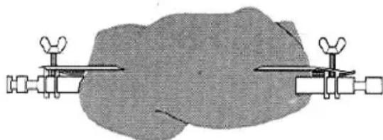 CLATRONIC MBG 3113 - TAJEKOZTATAS: - 1