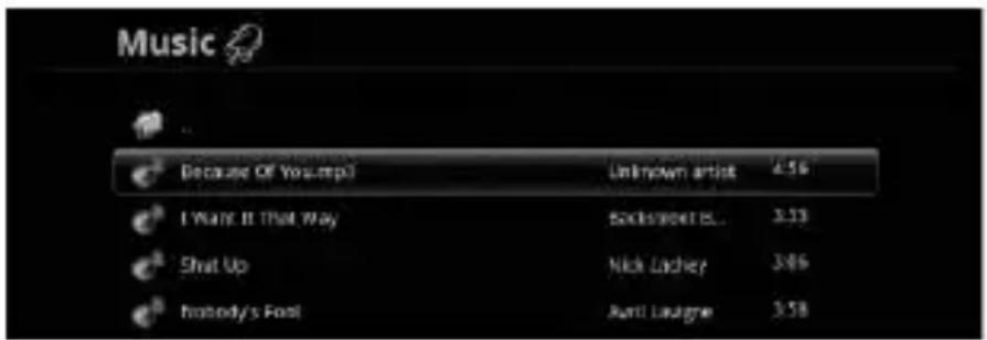 Best Buy Easy Player Net TV - Muzyka (Music) - 1