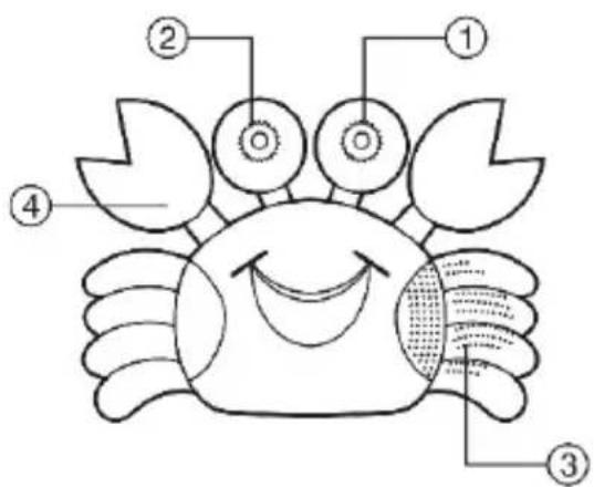 BASICXL BXLSR10 - DEUTSCH - 1