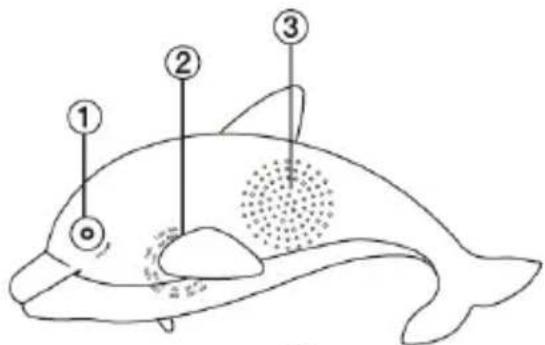 BASICXL BXLSR11 - Funzionamento della radio: - 1