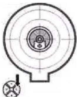 BASICXL BXLCL10 - SETAREAOREI - 2
