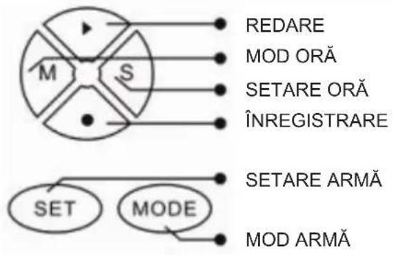 BASICXL BXLCL10 - BUTOANE - 1