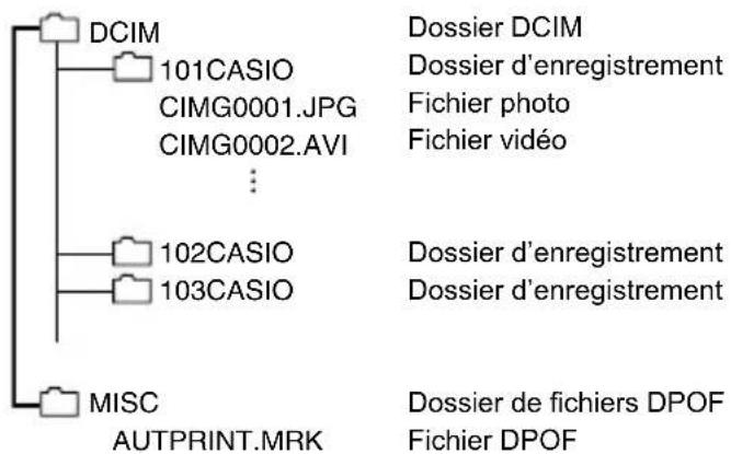 CASIO Exilim Zoom QVR200 - Structure des dossiers de la mémoire - 1