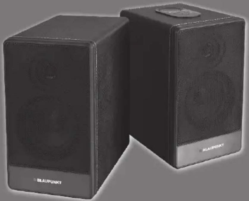 BLAUPUNKT BT 105e - 2