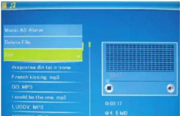 BRAUN Digiframe 7050 SLT - Delete functie - 1