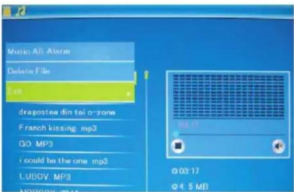 BRAUN Digiframe 7050 SLT - Funcao de apagar - 1