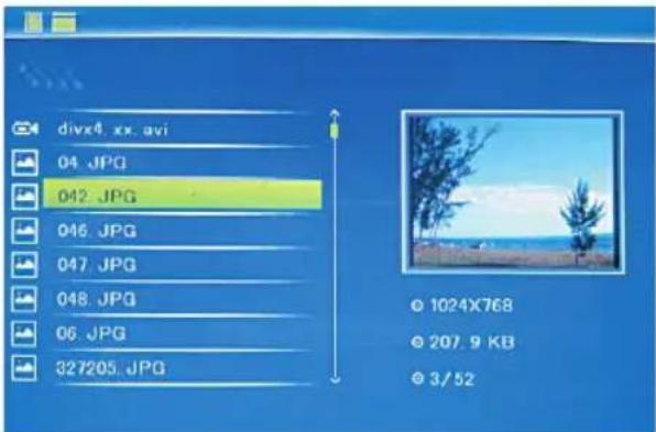 BRAUN Digiframe 7050 SLT - File - 1