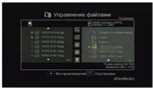 AVERMEDIA Game Capture HD - War 1: - 1
