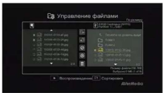 AVERMEDIA Game Capture HD - Экранное меню - 1