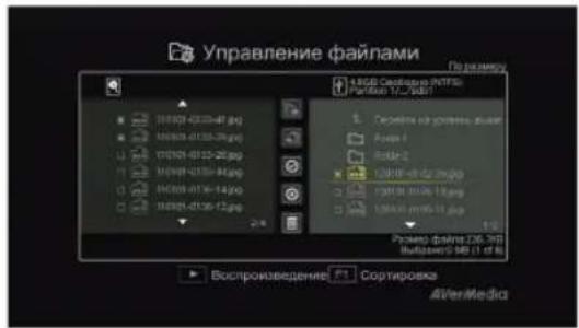 AVERMEDIA Game Capture HD - War 3: - 1