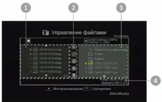 AVERMEDIA Game Capture HD - Пользовательский интерфейс подменю Управление файлами: - 1