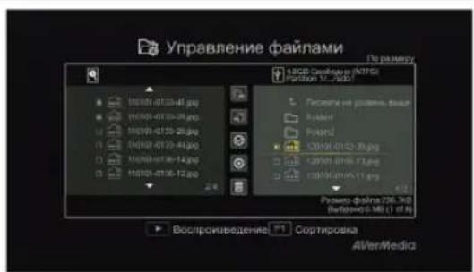 AVERMEDIA Game Capture HD - Экранное меню - 2