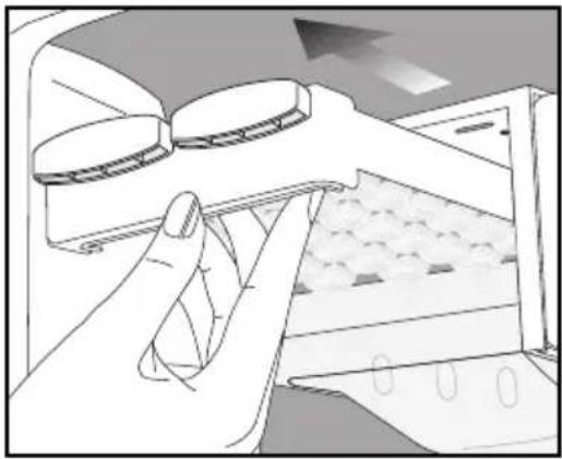 BEKO DNE62220DPX - Ice storage container - 1