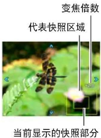变焦倍数 代表快照区域 当前显示的快照部分