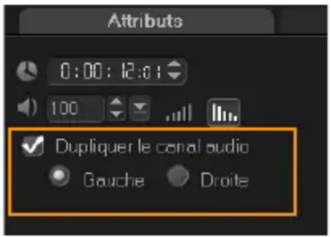 COREL Photo Video Suite X6 - Dupliquer un canal audio - 1