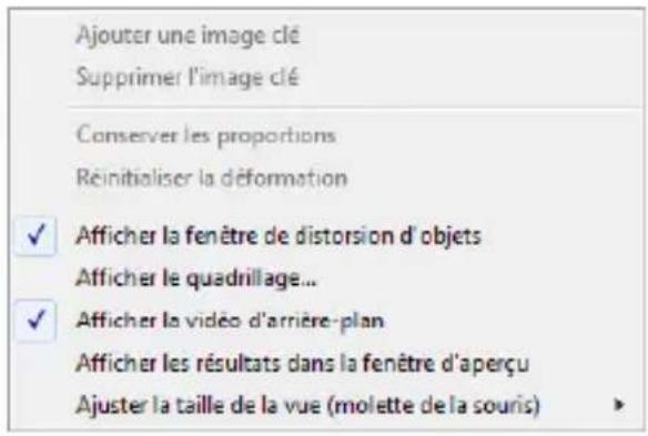 COREL Photo Video Suite X6 - Boutons et options des fonctions Faire correspondre mouvement et Personnaliser mouvement - 13