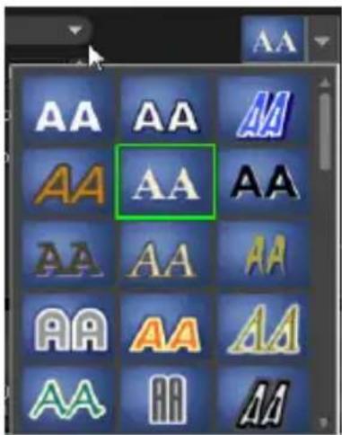 COREL Photo Video Suite X6 - Modifier les attributs de texte - 2