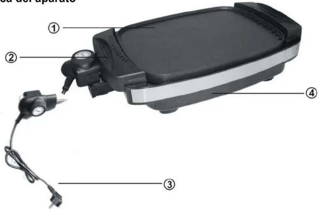 CASO TG 300 - Panorámina del aparato - 1