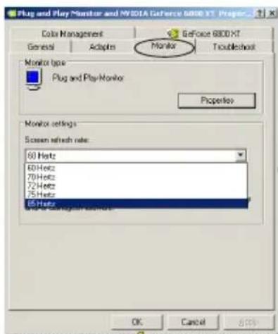 ECS N9500GT1GDSF - Adjust the Monitor Refresh Rate - 2