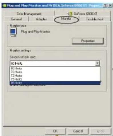 ECS N9500GT1GDSF - Ajustar a frequência deactualização do monitor - 2