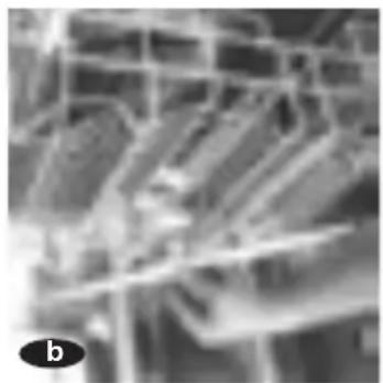 FAGOR 1LF020 SX - LIMPIEZA DE LOS ASPERSORES - 5