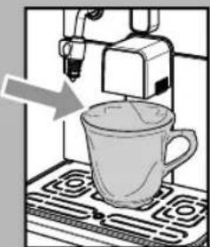 GAGGIA Brera - DESCALING - 2