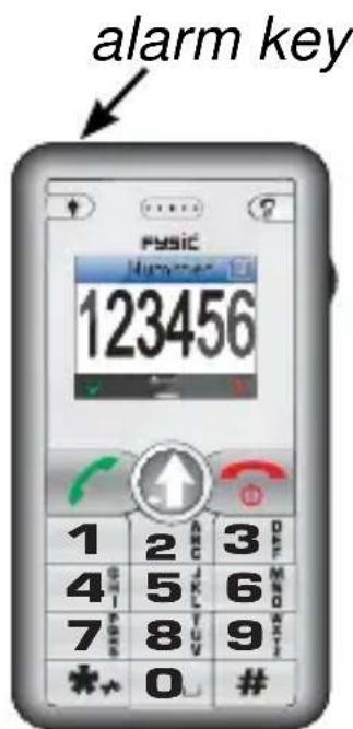 Fysic FM8800+ - Using alarm function: - 1