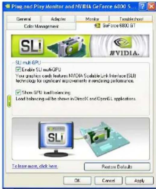 ECS N9800GT1GMUF - 4.16.SLI Multi-GPU - 1