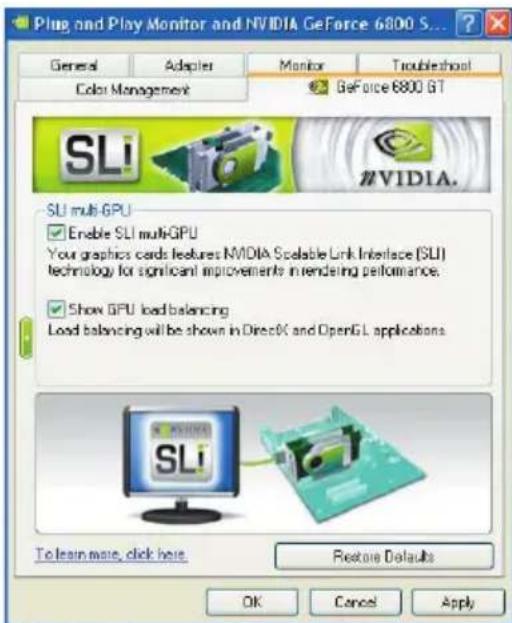 ECS N9800GT1GMUF - 4.16.SLI Multi-GPU - 1