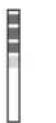 FAGOR CAT40 NG - Setting the Water Hardness - 4