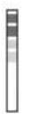 FAGOR CAT40 NG - Setting the Water Hardness - 3