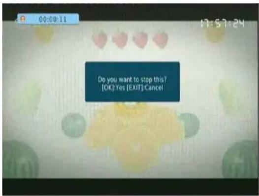 EMTEC Movie Cube N150H - REC - 1
