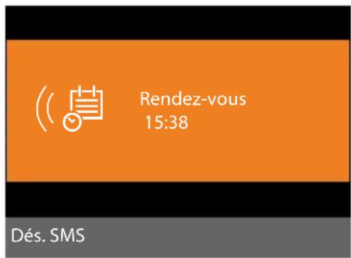 GIGASET DX600A ISDN - Signalisation des rendez-vous et anniversaires - 1