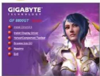GIGABYTE GeForce GT220 - Installation of Drivers - 1
