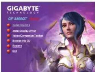 GIGABYTE GVN210D2512I - Drivers - 2