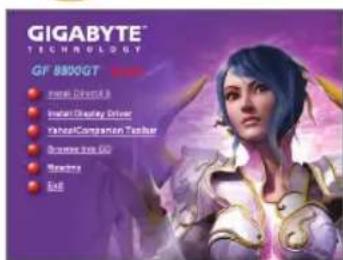 GIGABYTE GVN210D2512I - Installation of Drivers - 1
