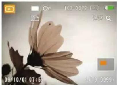 GE Power Pro X5 - Utilisation du zoom sur les images déjà prises (images fixes seulement) - 1