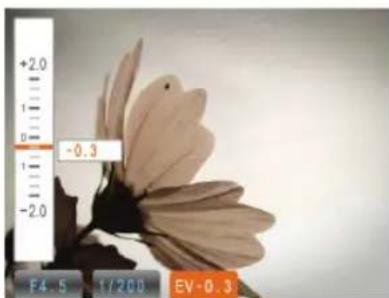GE Power Pro X5 - Valeur IL (indice de lumination) - 1