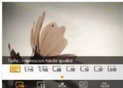 GE Power Pro X5 - Taille - 1