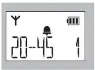 Fysic FX6020 - WERKING ALARM: - 1