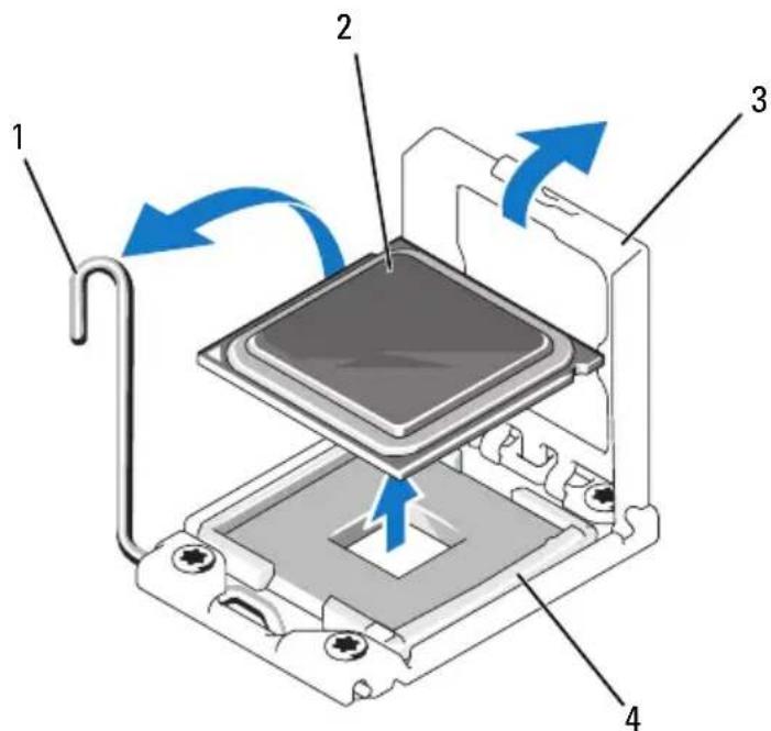 DELL PowerEdge R410 - Abbildung 1-2. Entfernen eines Prozessors - 1