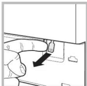 HOTPOINT-ARISTON Maxi ARGD 149 K(EU).R - Opening the porthole door manually - 3