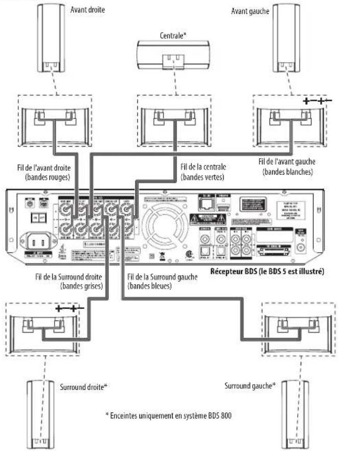 HARMAN KARDON BDS 600230 - Connexions - 1