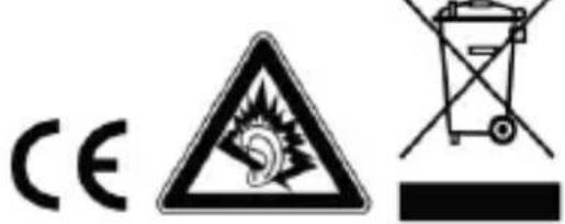 INTENSO Musik Walker - Données techniques - 1