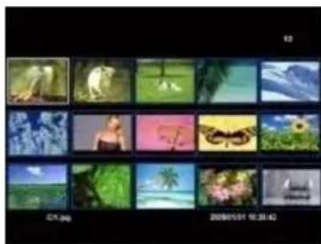 INTENSO MediaDesigner - Menu Pre-Visualização deotos - 2