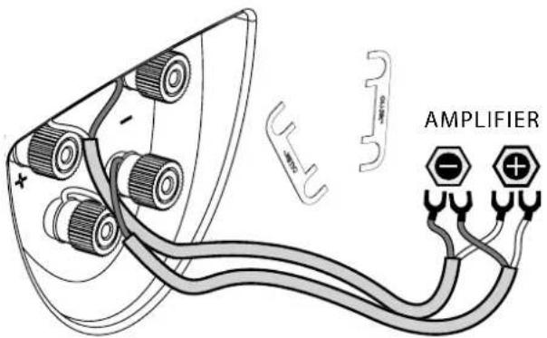 AMPLIFIER